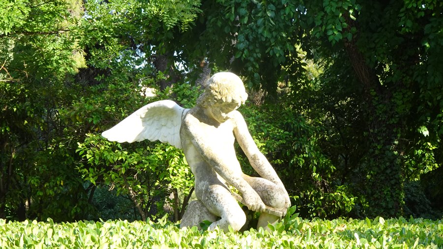 Un'attimo di meraviglia: un angelo custode tra il verde del giardino.