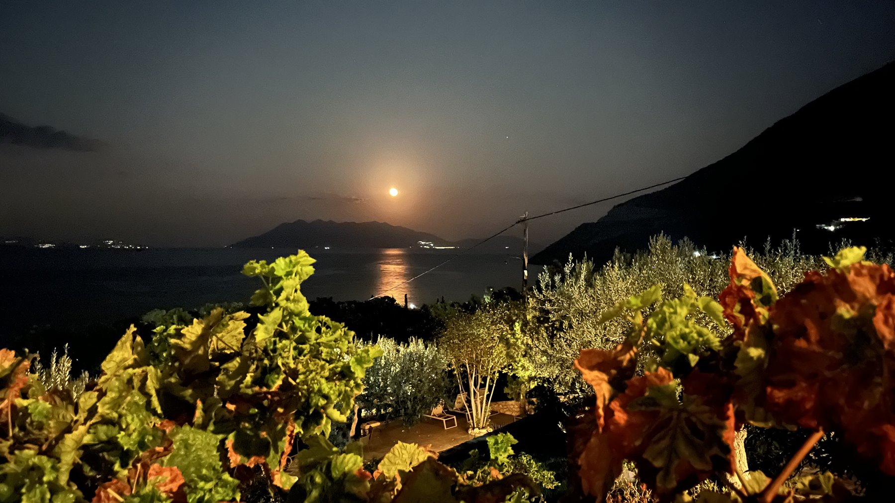La luna si tuffa nel mare, e noi sogniamo già domani.
