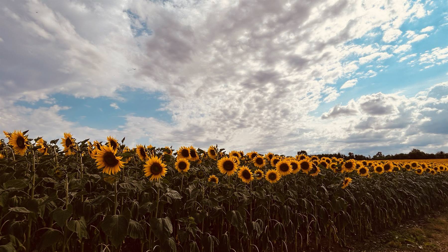 Foto di viaggio in FRANCIA