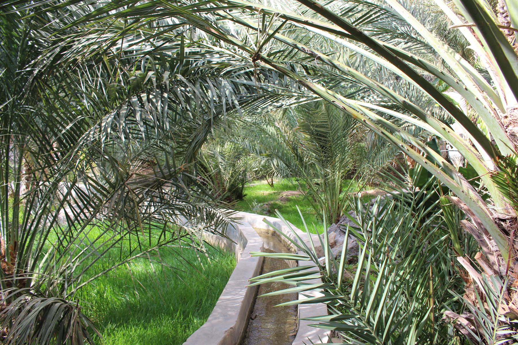 Foto di viaggio in OMAN