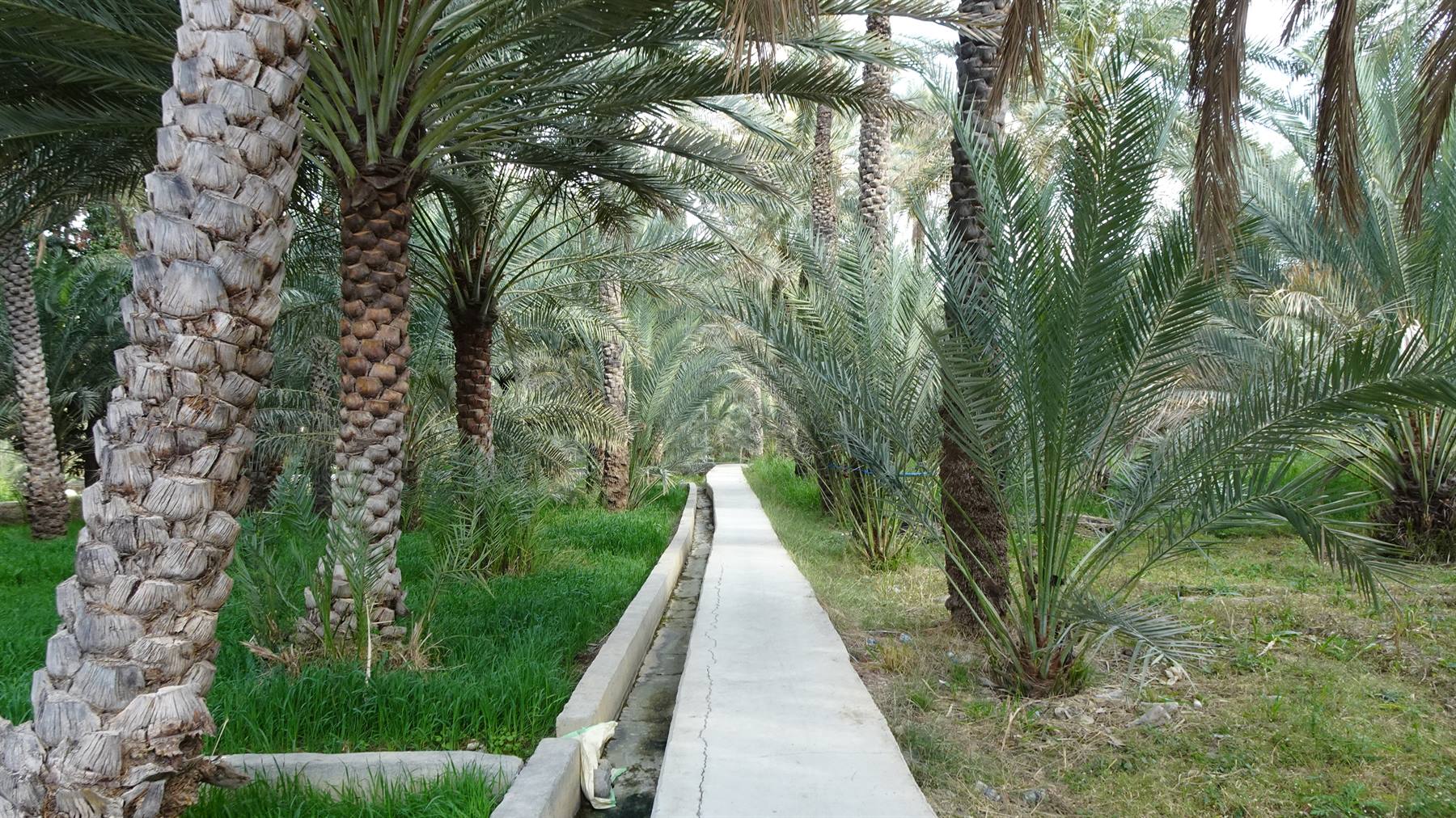 Foto di viaggio in OMAN