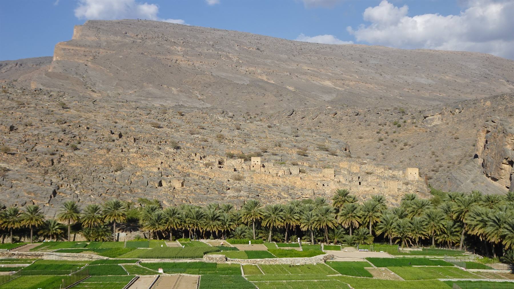 Foto di viaggio in OMAN