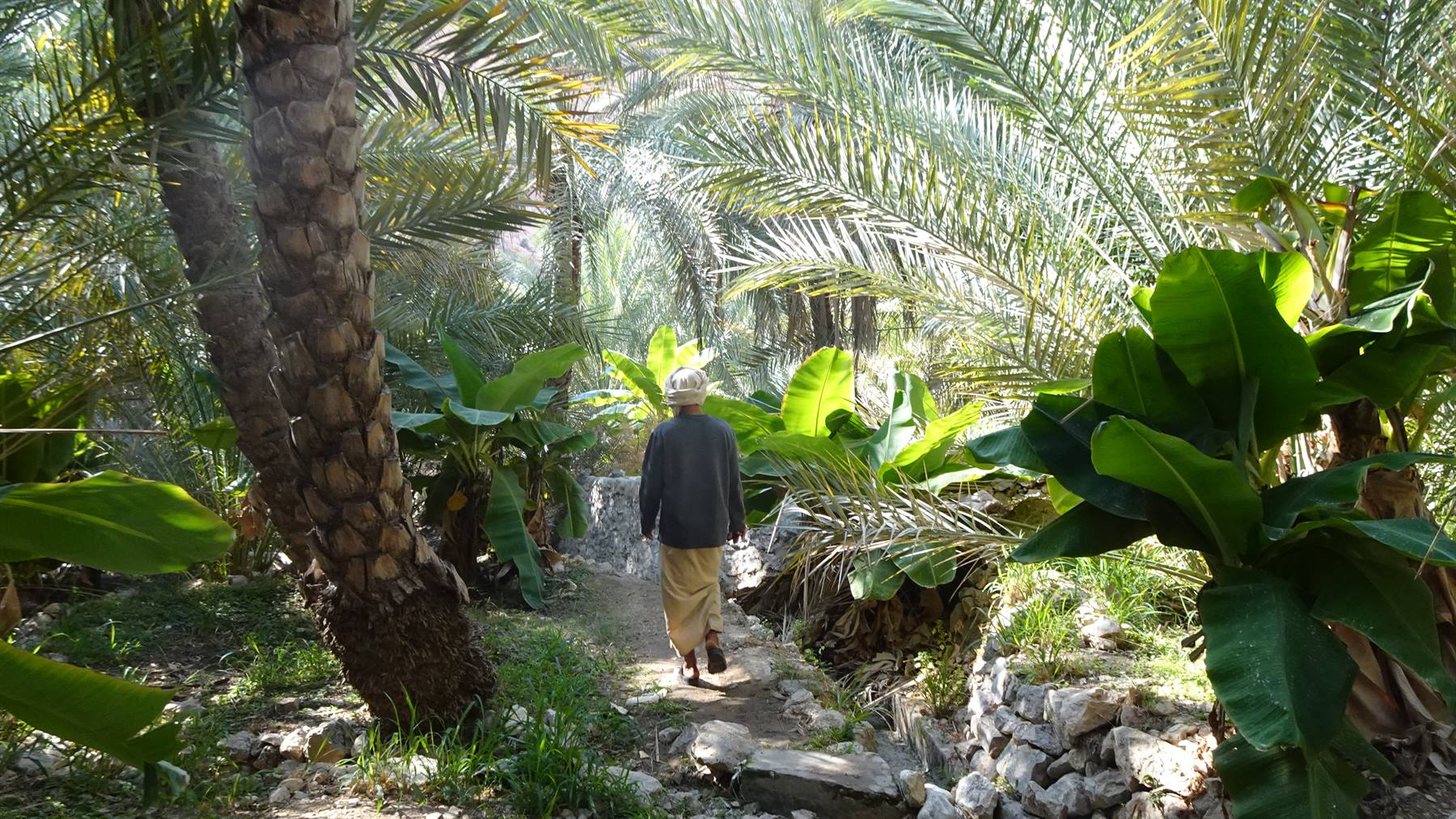Foto di viaggio in OMAN