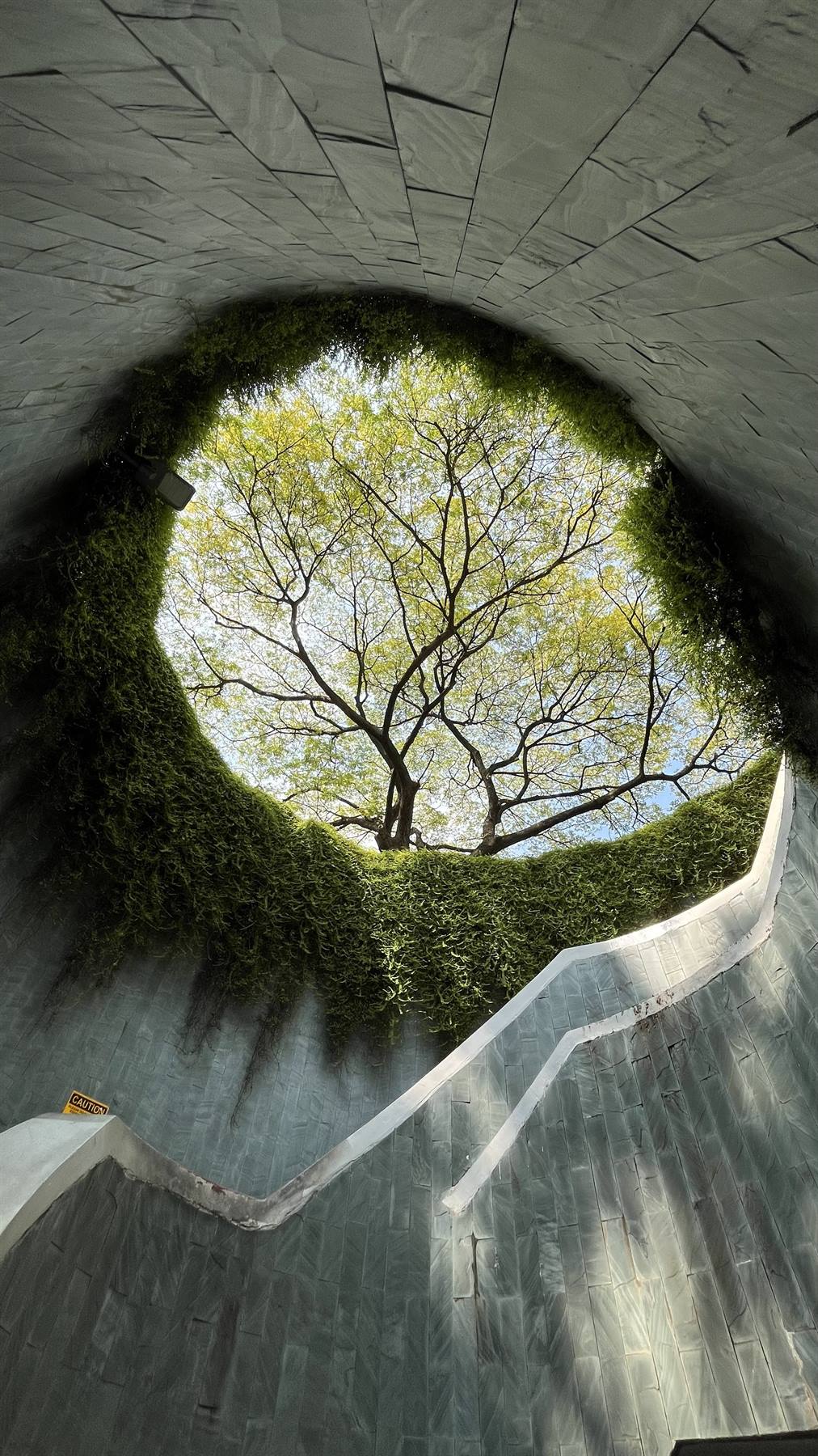 Foto di viaggio in SINGAPORE