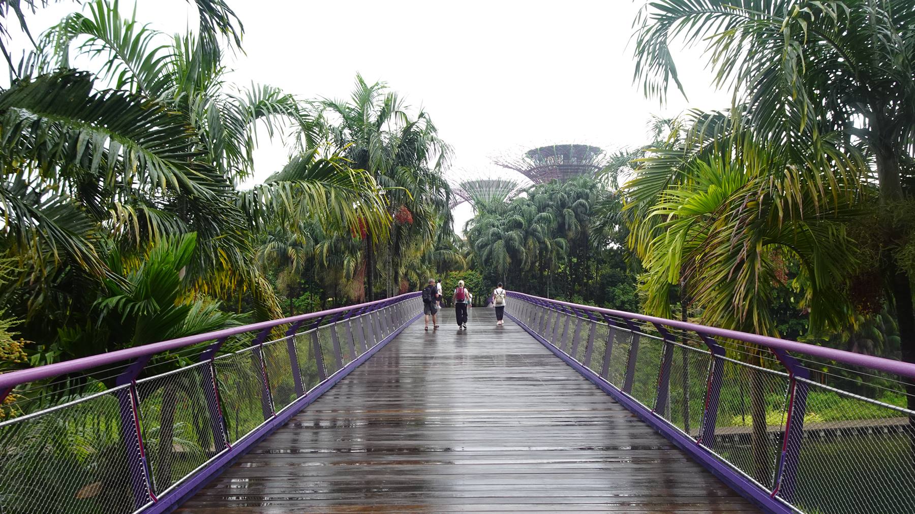 Foto di viaggio in SINGAPORE