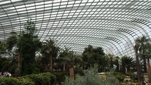 Sotto la grande cupola di vetro, un angolo di tropici da ricordare.