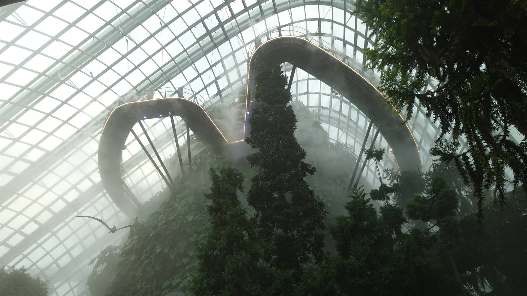 Foto di viaggio in SINGAPORE