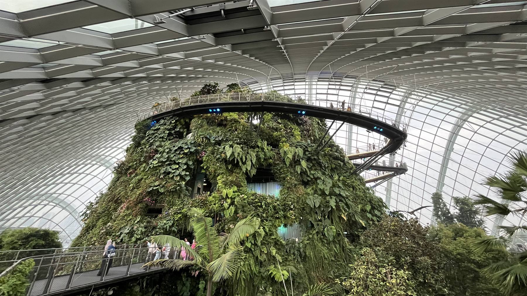 Foto di viaggio in SINGAPORE