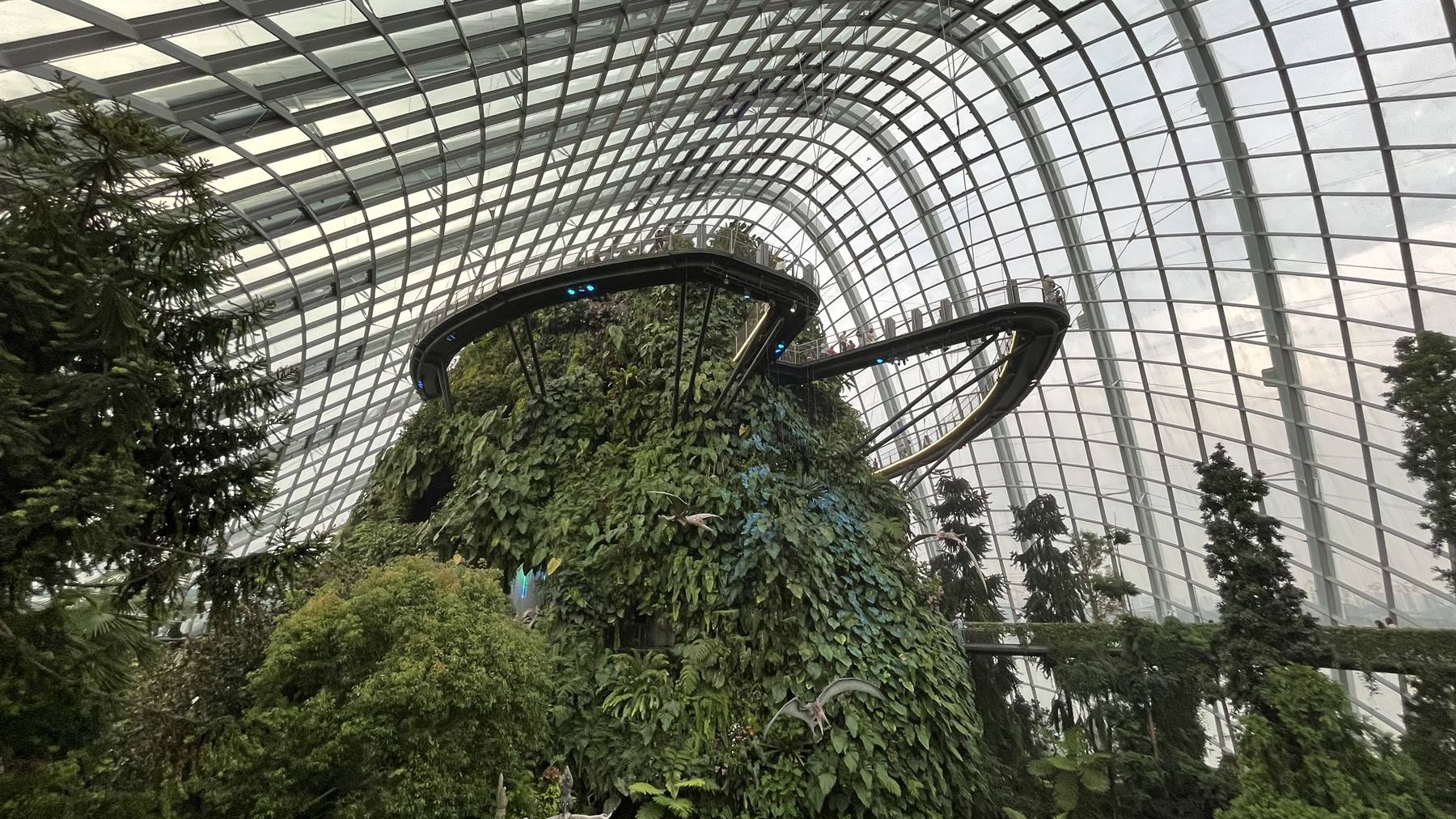 Foto di viaggio in SINGAPORE