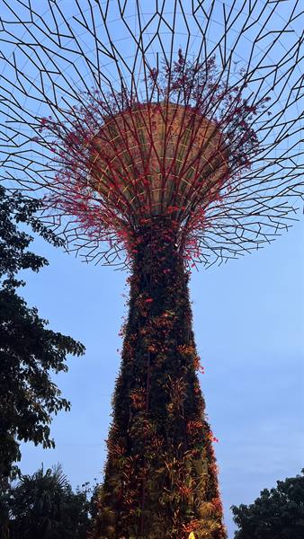 Sera a Gardens by the Bay: l'albero artificiale fiorisce contro il cielo.