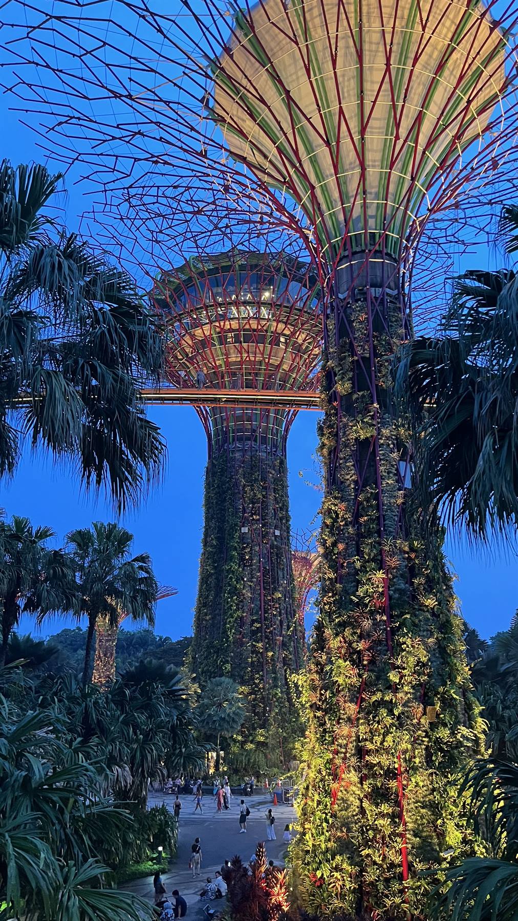 I Supertree di Singapore si accendono al tramonto: puro sogno.