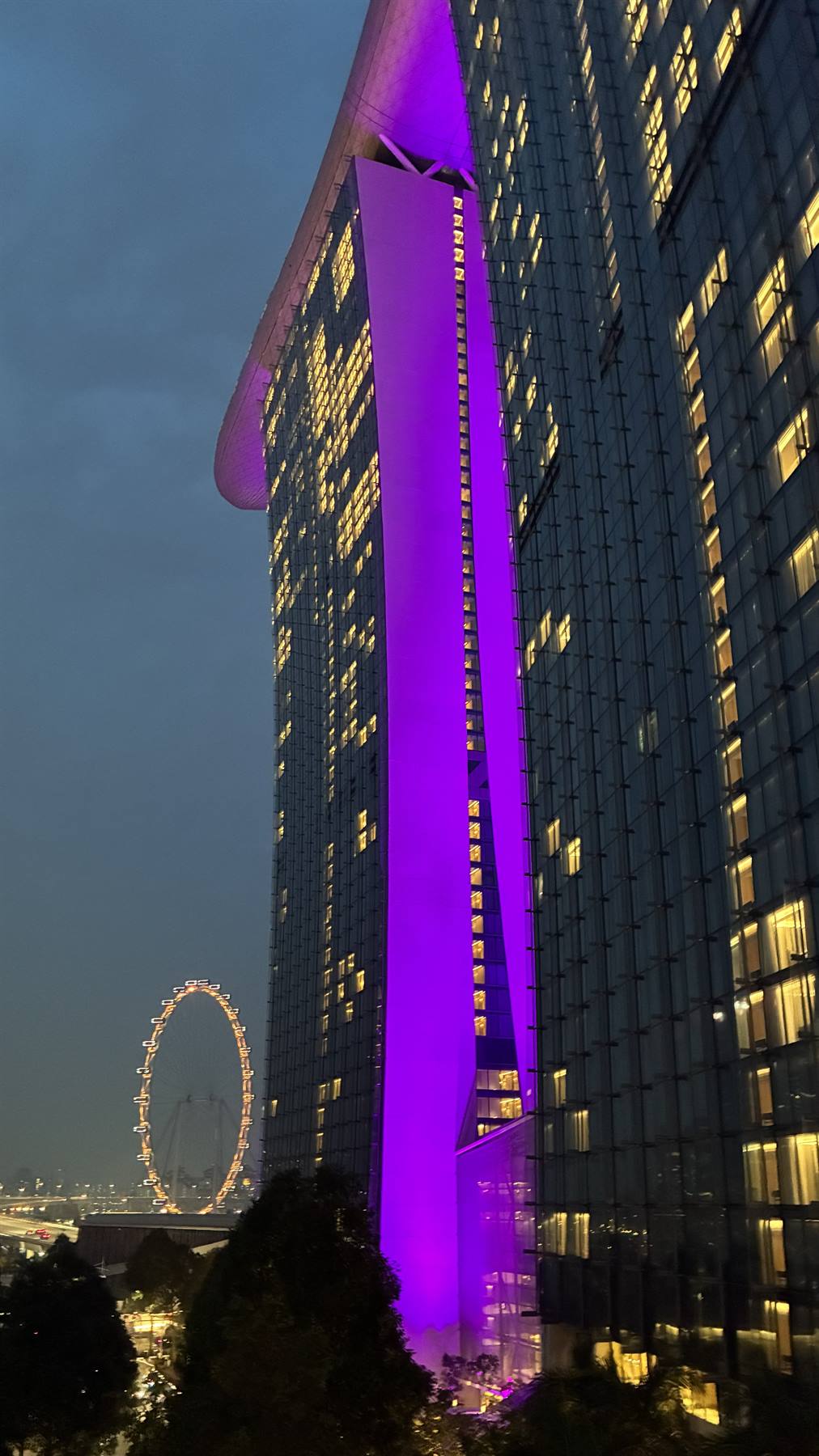 Singapore al tramonto: luci viola e la ruota che illumina la sera.