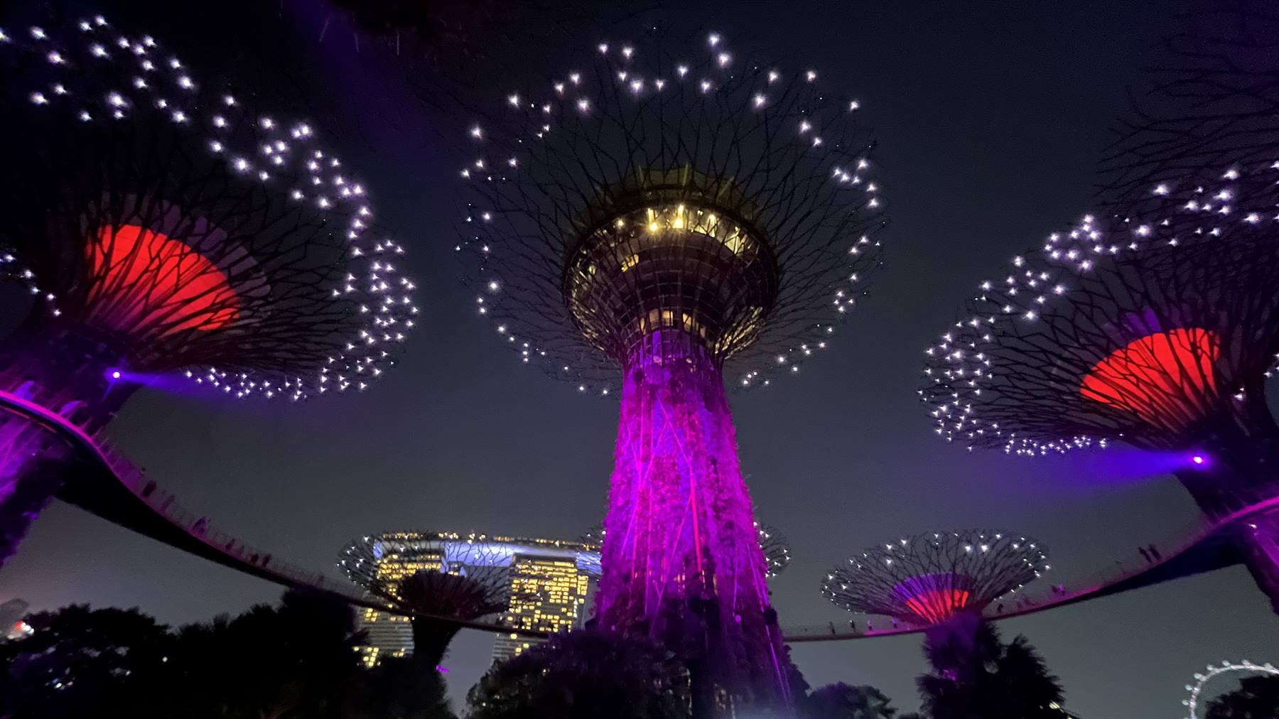 Foto di viaggio in SINGAPORE