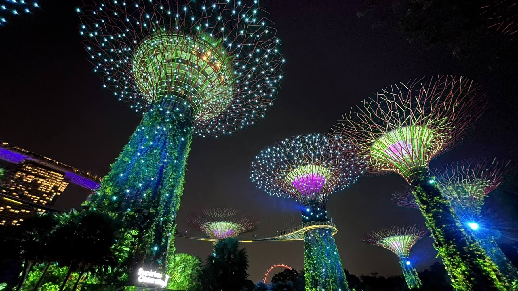 Foto di viaggio in SINGAPORE