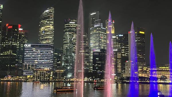 Fontane danzanti sotto le luci di Singapore, magia che non dimenticherò.