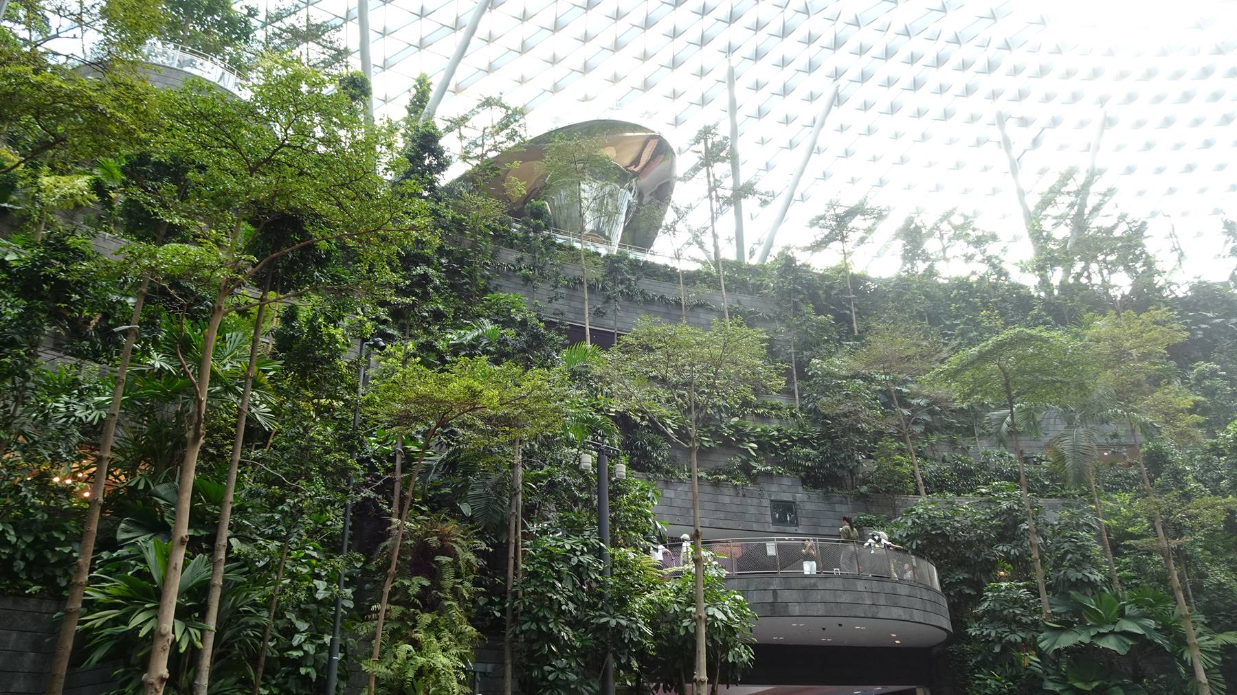 Foto di viaggio in SINGAPORE