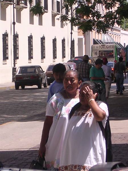 Donne Maya