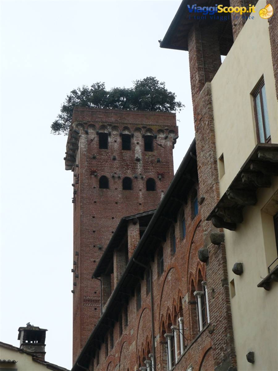 Lucca