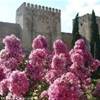 Granada - Alhambra, L'Alcazar SPAGNA 