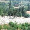 verso Prespa MACEDONIA OF 