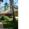 viva dominicus beach REPUBBLICA DOMINICANA 