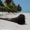 Saona - Canto della playa REPUBBLICA DOMINICANA 