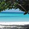 Saona - Canto della playa REPUBBLICA DOMINICANA 