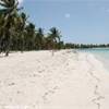 Saona - Canto della playa REPUBBLICA DOMINICANA 