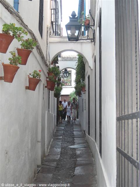 Calle de los flores