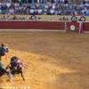 Corrida SPAGNA 