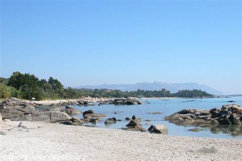 Barisardo