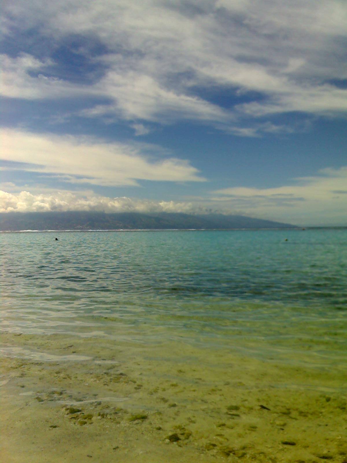 MOOREA