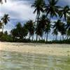 MOOREA POLINESIA FRANCESE 