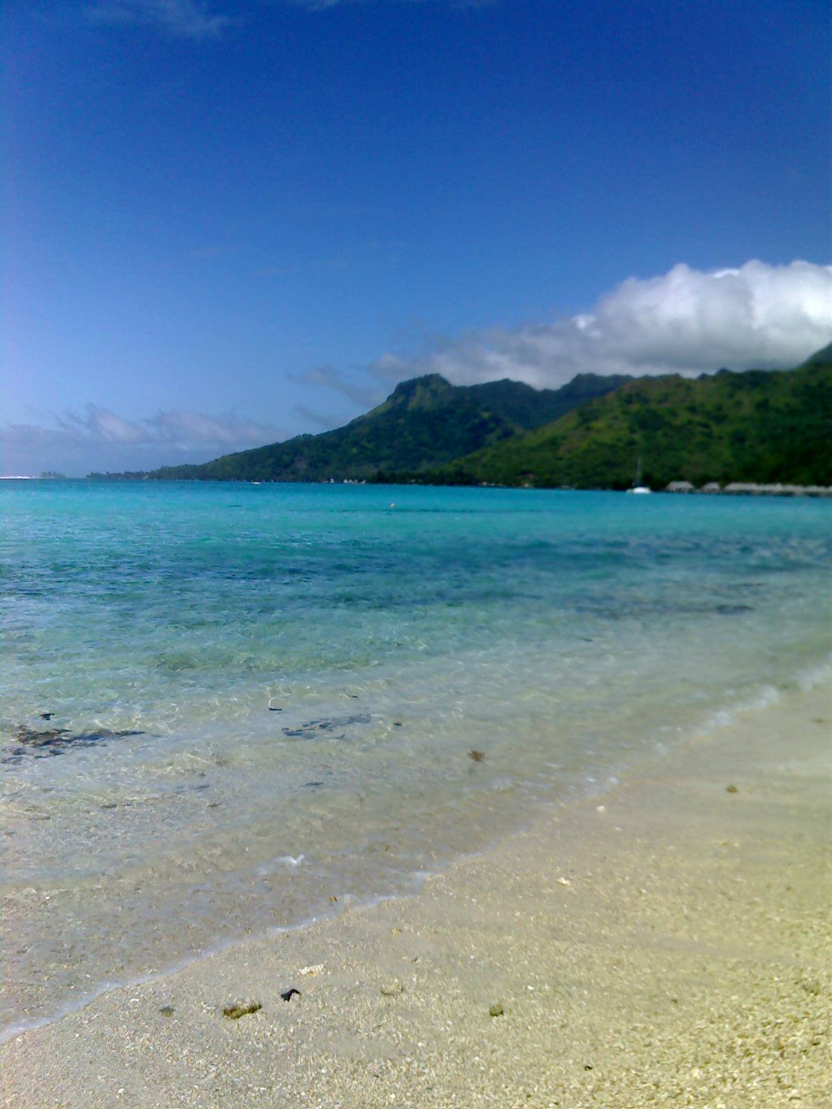 MOOREA