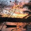 tramonto 1 COSTA RICA 