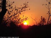 alba nel delta dell'Okawango