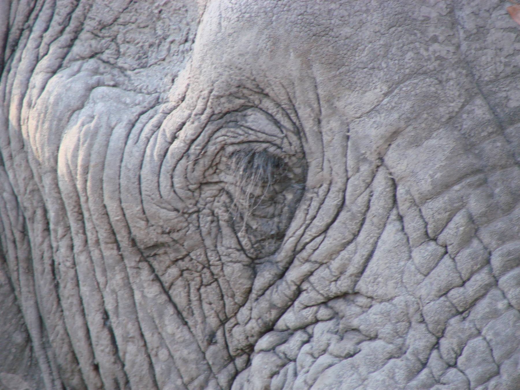 Foto di viaggio in BOTSWANA