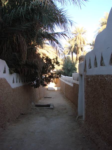 Ghadames - giardini