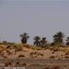 nei pressi di Al Uwaynat LIBYAN ARAB JAMAHIRIYA 