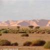  LIBYAN ARAB JAMAHIRIYA 