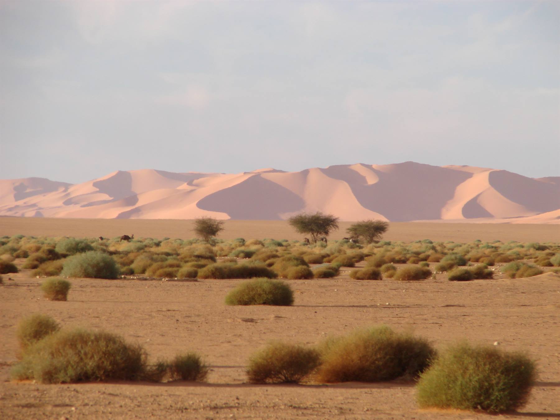 Foto di viaggio in LIBYAN ARAB JAMAHIRIYA