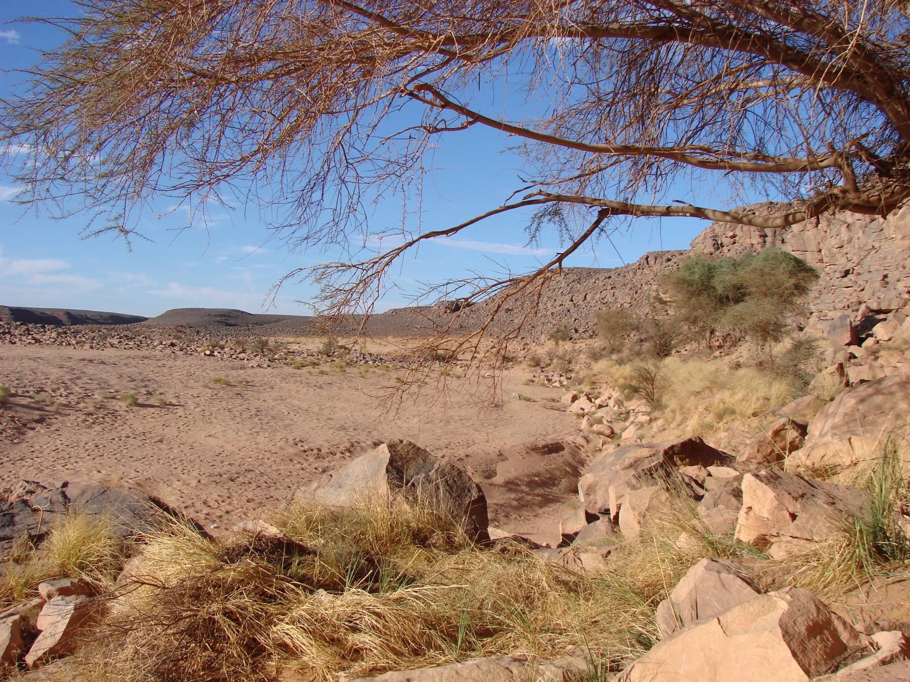 wadi mathendush