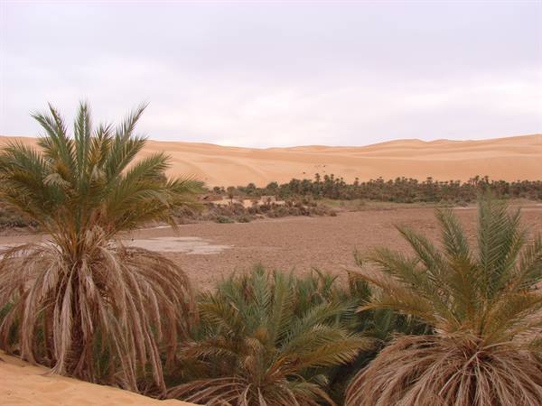 lago mandara