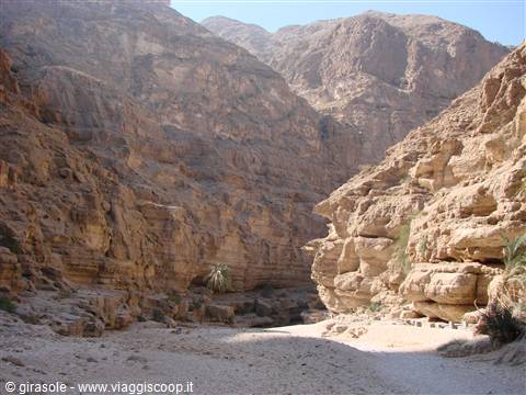 Wadi Sabh