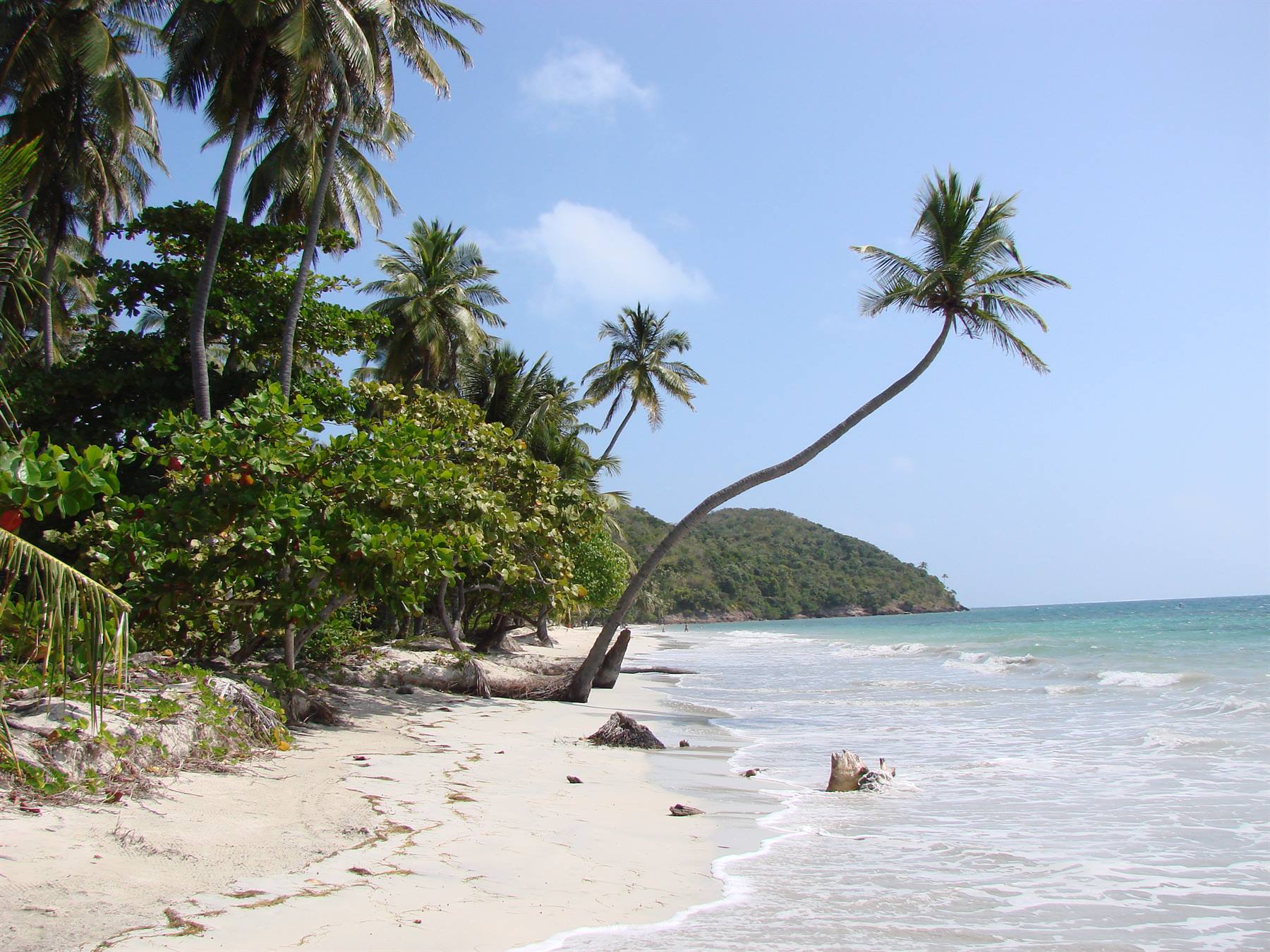 playa manzanillo