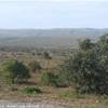 Addo Elephant National Park SUD AFRICA 