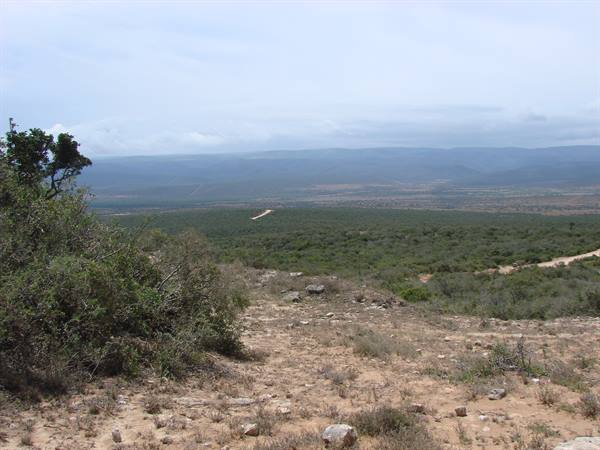 Addo Elephant Park
