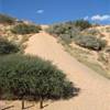 Witsand reserve SUD AFRICA 