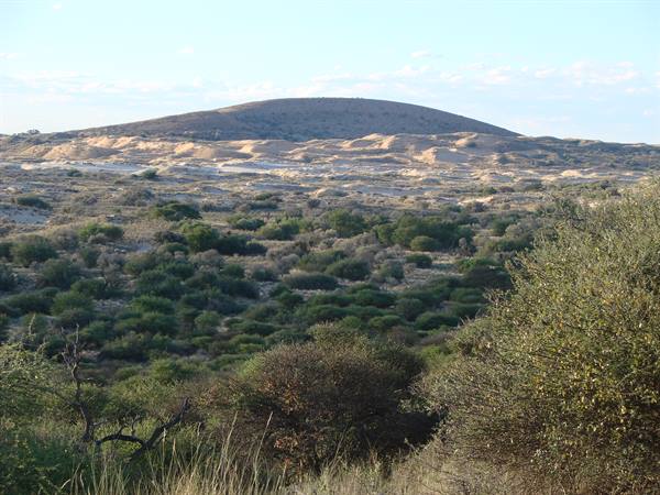 Witsand reserve