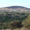 Witsand reserve SUD AFRICA 